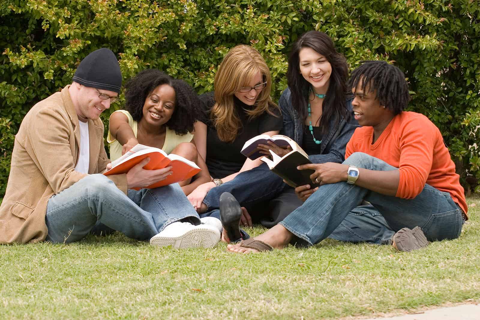 students studying in grass